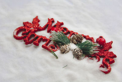 High angle view of pine cones in snow