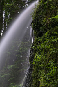 Scenic view of waterfall