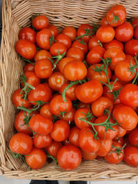 Close-up of tomatoes