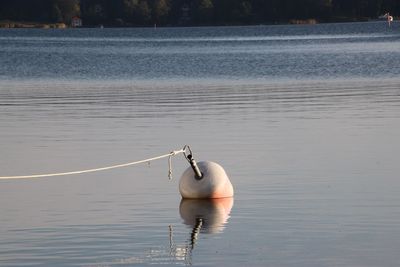 Boat buoy in fall