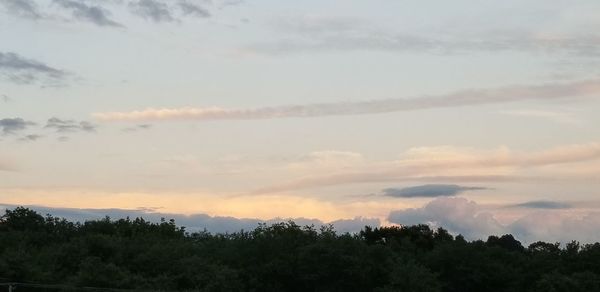 Scenic view of forest against sky during sunset