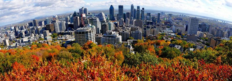 Panoramic view of trees and buildings against sky