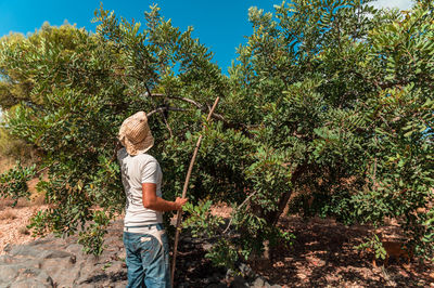 Rear view of boy standing by plants