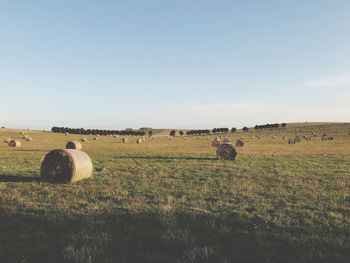 Hay bales on field against clear sky