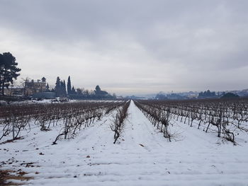 Scenic view of snowy field against sky during winter