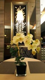 Flowers in illuminated room