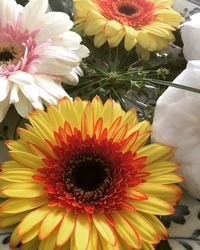 Close-up of orange flowers blooming outdoors