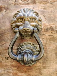 Close-up of cat on wooden door