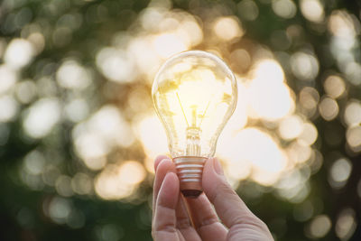 Close-up of person holding light bulb against trees