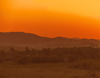 Scenic view of field against orange sky