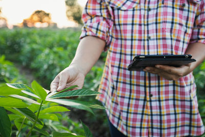 Farmer touch the cassava leaf and hold tablet for record data to conduct research about quality.