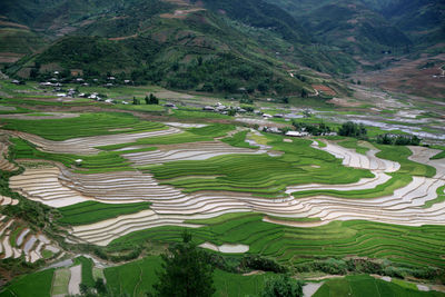 High angle view of agricultural field