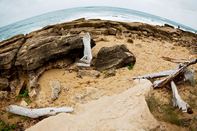 High angle view of driftwood on beach