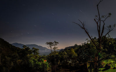 Trees on landscape against sky at night