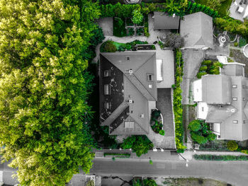 High angle view of trees by building