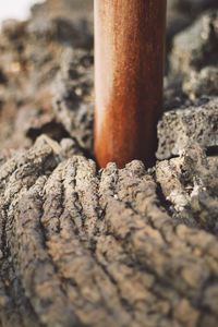 Close-up of cigarette on land