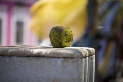 Close-up of lemon on metal