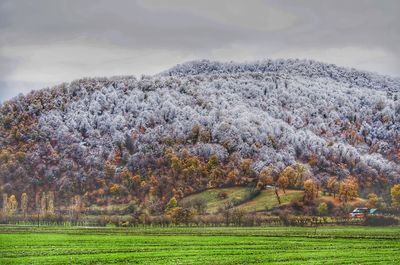 Scenic view of field against sky