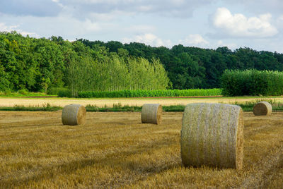 Hay bales on field against sky