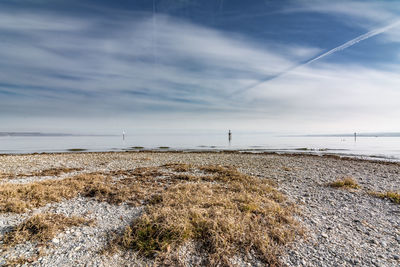 Pebbles beach at lake constance in winter