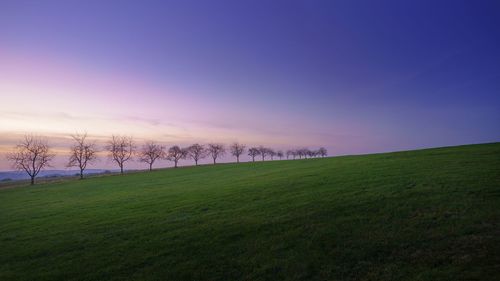 Scenic view of field against sky during sunset