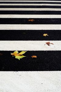 Road marking on street