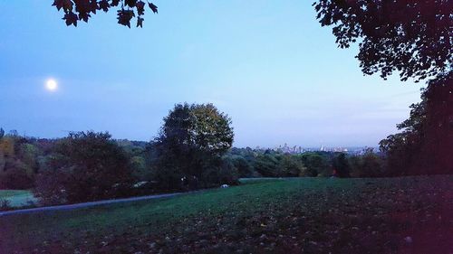 Scenic view of landscape against clear sky