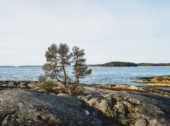 Scenic view of sea against clear sky