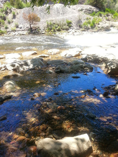 water, rock - object, stream, nature, reflection, tranquility, flowing water, high angle view, beauty in nature, lake, tranquil scene, flowing, day, river, rippled, waterfront, scenics, pond, outdoors, stone - object