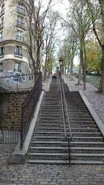 People walking on steps amidst trees in city