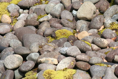 Full frame shot of pebbles