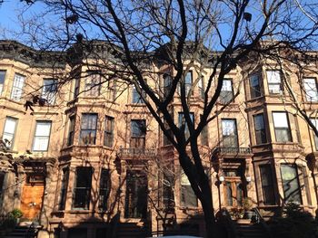 Low angle view of bare trees against sky