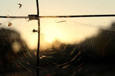 Close-up of wet spider web against sky seen through glass window