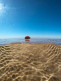 Scenic view of sea against blue sky