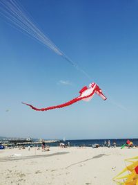 Seahorse at a kite festival on the black sea coast