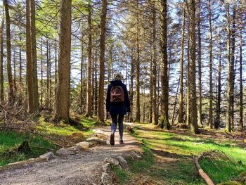 Full length of woman standing in forest