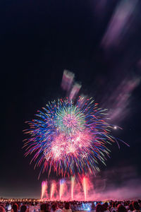 Low angle view of firework display at night