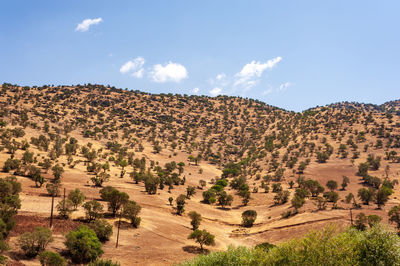 The formation of mountains with trees, foliage, grass and blue sky in western part of iran, 