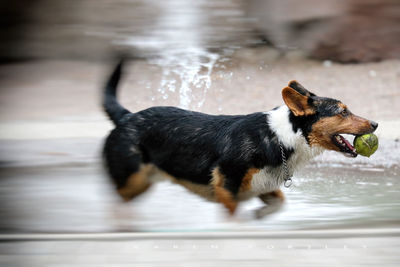 Great afternoon cooling off on hot sunny day
