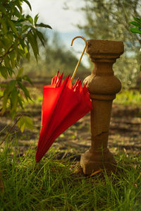 Close-up of red toy on field