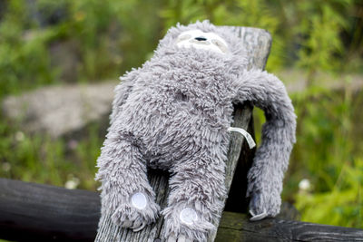 A gray stuffed toy lost by a child left on a wooden fence.