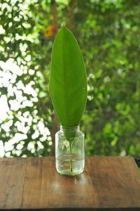 Close-up of glass vase on table