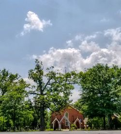 Trees and plants by building against sky