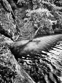 River flowing through rocks