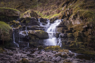 Scenic view of waterfall in forest