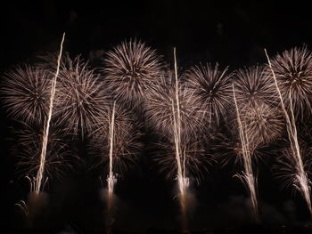 Firework display at night