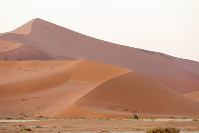 Scenic view of desert against clear sky