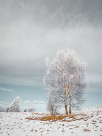 Scenic view of snow covered land and tree against sky