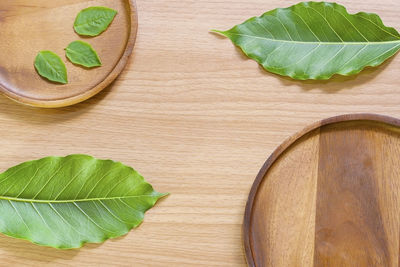 High angle view of green leaves on table