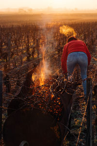 Rear view of woman standing at agriculture field